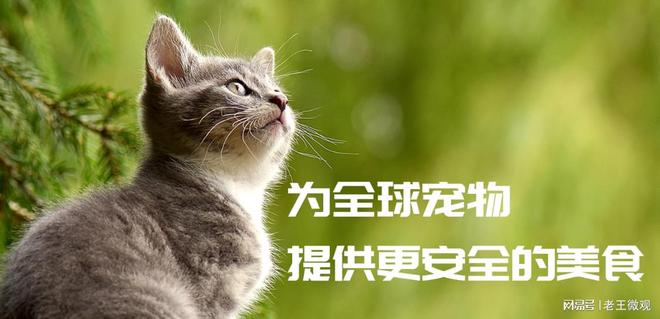 品质与创新并重打造宠物食品行业新标杆AG真人澳门百家家乐汉欧宠物食品厂：(图3)