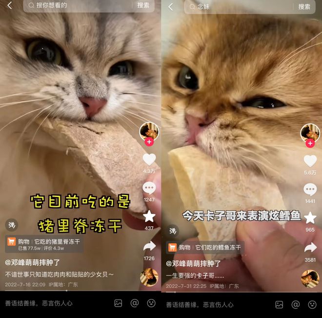 op3这条千亿赛道杀出一匹黑马AG真人国际年销2亿抖音类目T(图2)