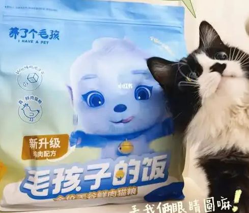子口粮！三只松鼠靠什么重返宠物食品赛道AG真人澳门百家家乐零食巨头盯上毛孩(图3)