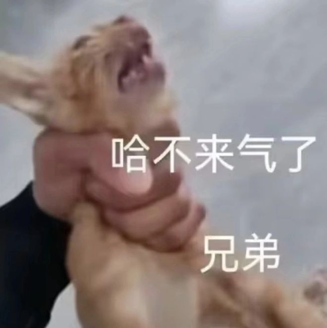 码影片的大罪人监狱都被民间礼物塞满了…AG真人百家家乐平台给日本人提供不打(图11)