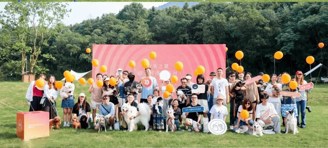 遛节来啦！带上毛孩子赴一场冬日狂欢AG真人平台玉龙湾景区忘野集萌宠遛