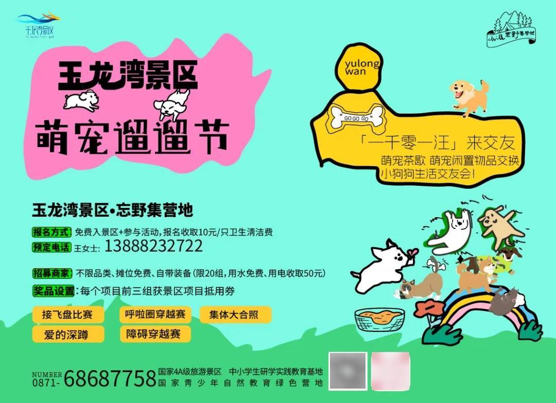 遛节来啦！带上毛孩子赴一场冬日狂欢AG真人平台玉龙湾景区忘野集萌宠遛(图2)