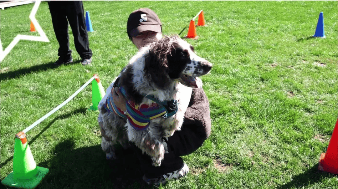 遛节来啦！带上毛孩子赴一场冬日狂欢AG真人平台玉龙湾景区忘野集萌宠遛(图3)