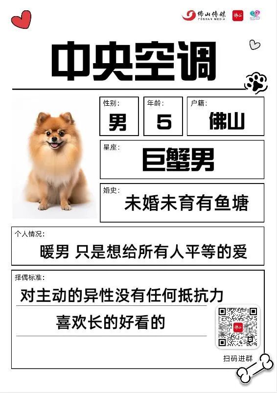 ！友趣会宠物交友墙火热招募中AG真人地址萌宠出道就现在
