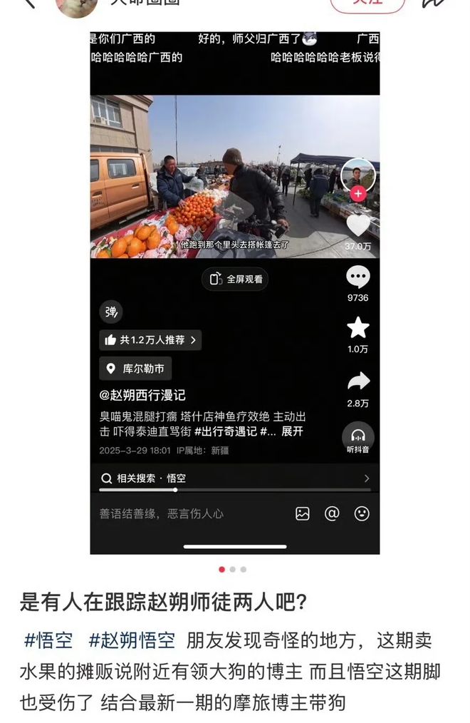 ：主人赵朔公开去世细节可能死于投毒！AG真人国际厅网红小猫“悟空”去世(图7)