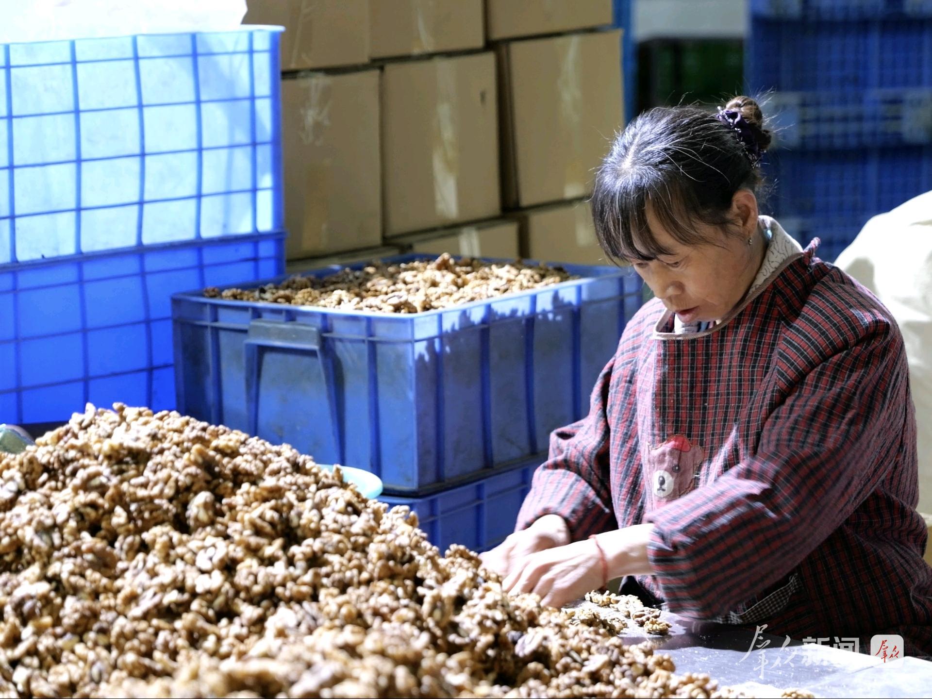 洛:小核桃闯荡大世界AG真人游戏地址商(图4) 洛:小核桃闯荡大世界AG真人游戏地址商(图4)