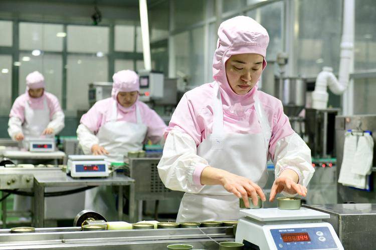 全国每十袋宠物粮就有三袋产自山东(图2)