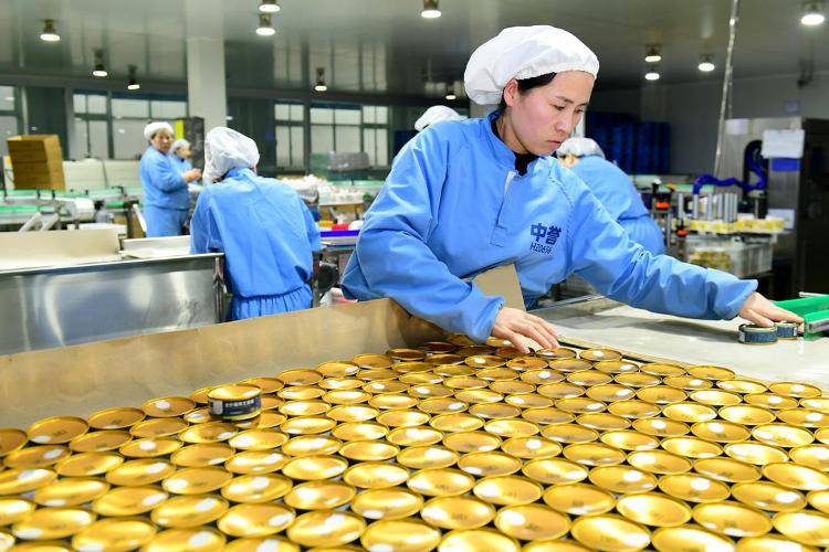 全国每十袋宠物粮就有三袋产自山东(图3)